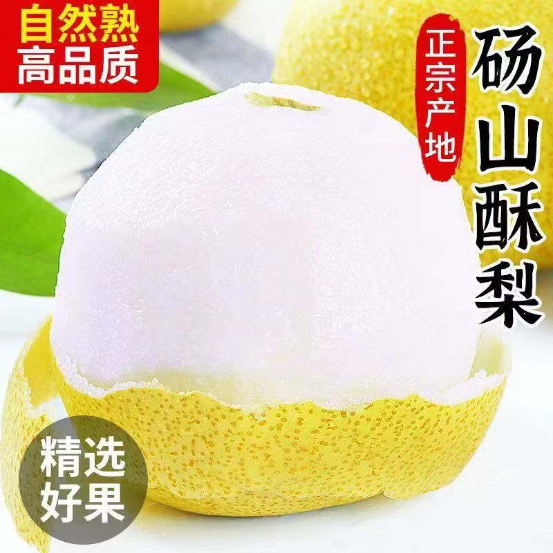 正宗百年砀山酥梨5斤整箱包邮当季新鲜水果砀山梨皮薄多汁
