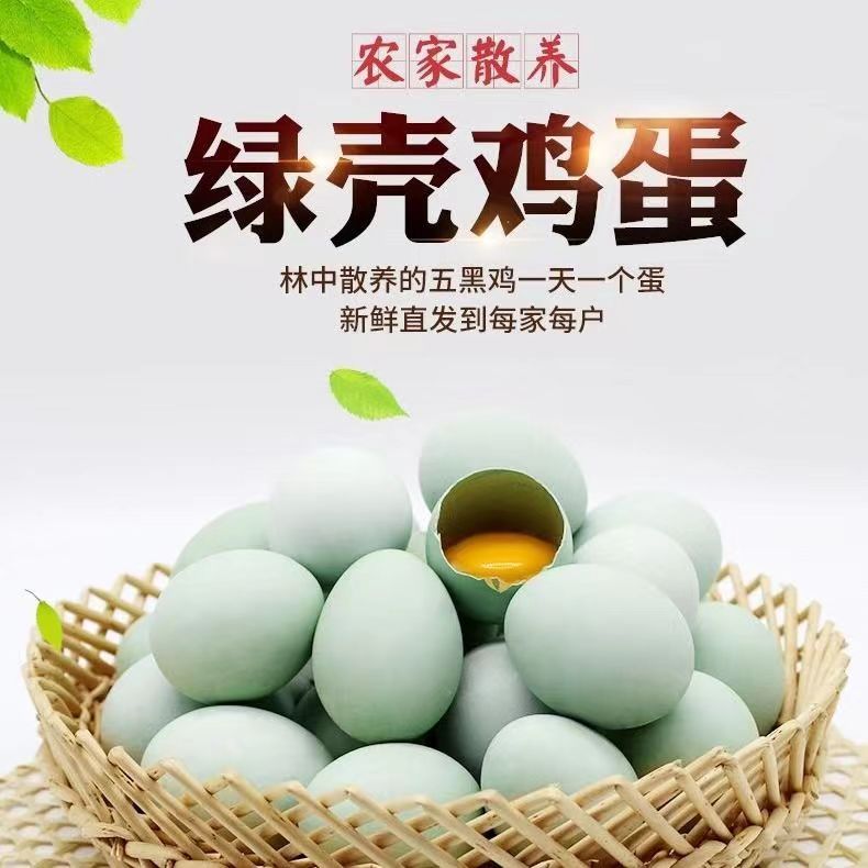 林场正宗绿壳鸡蛋农家散养土鸡蛋绿皮鸡蛋绿皮土鸡蛋健康乌鸡蛋坑