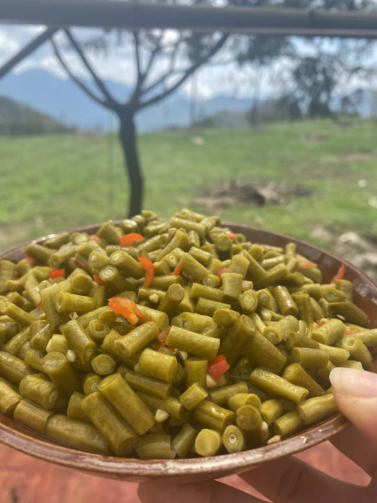 农家自家种植缸豆酸缸豆