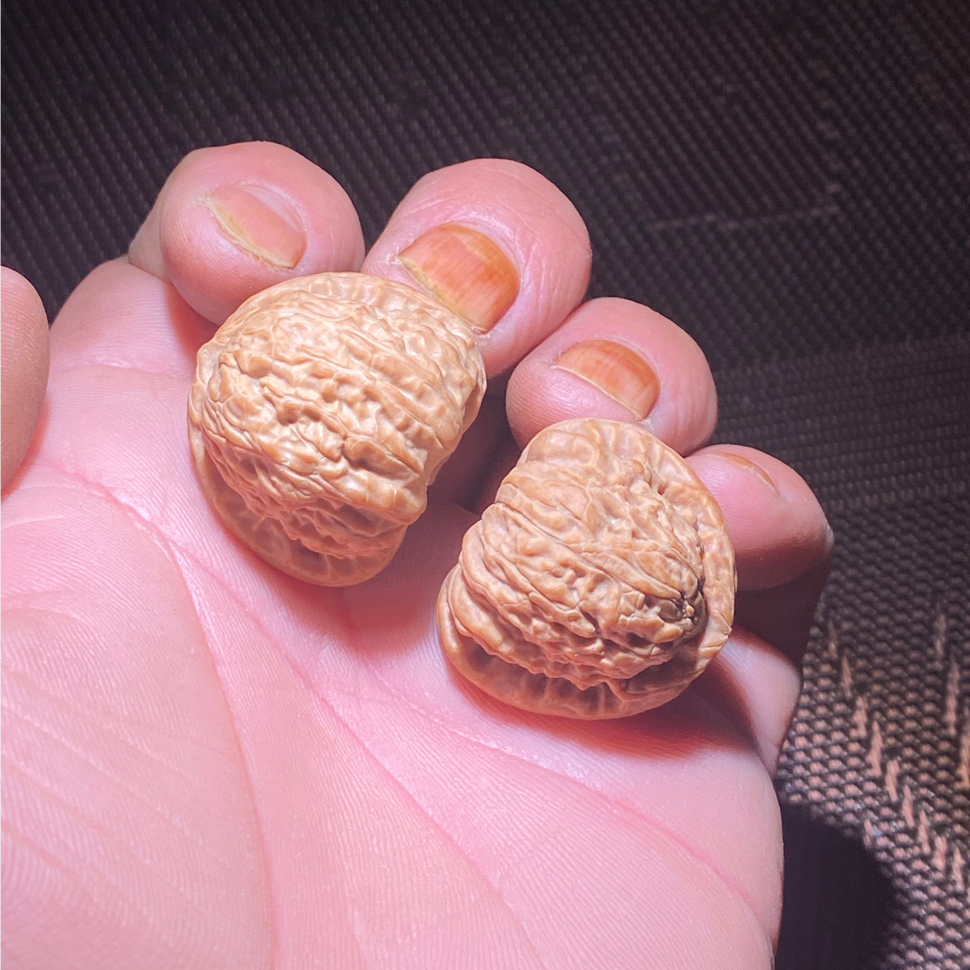 文玩核桃专拍链接810-1000
