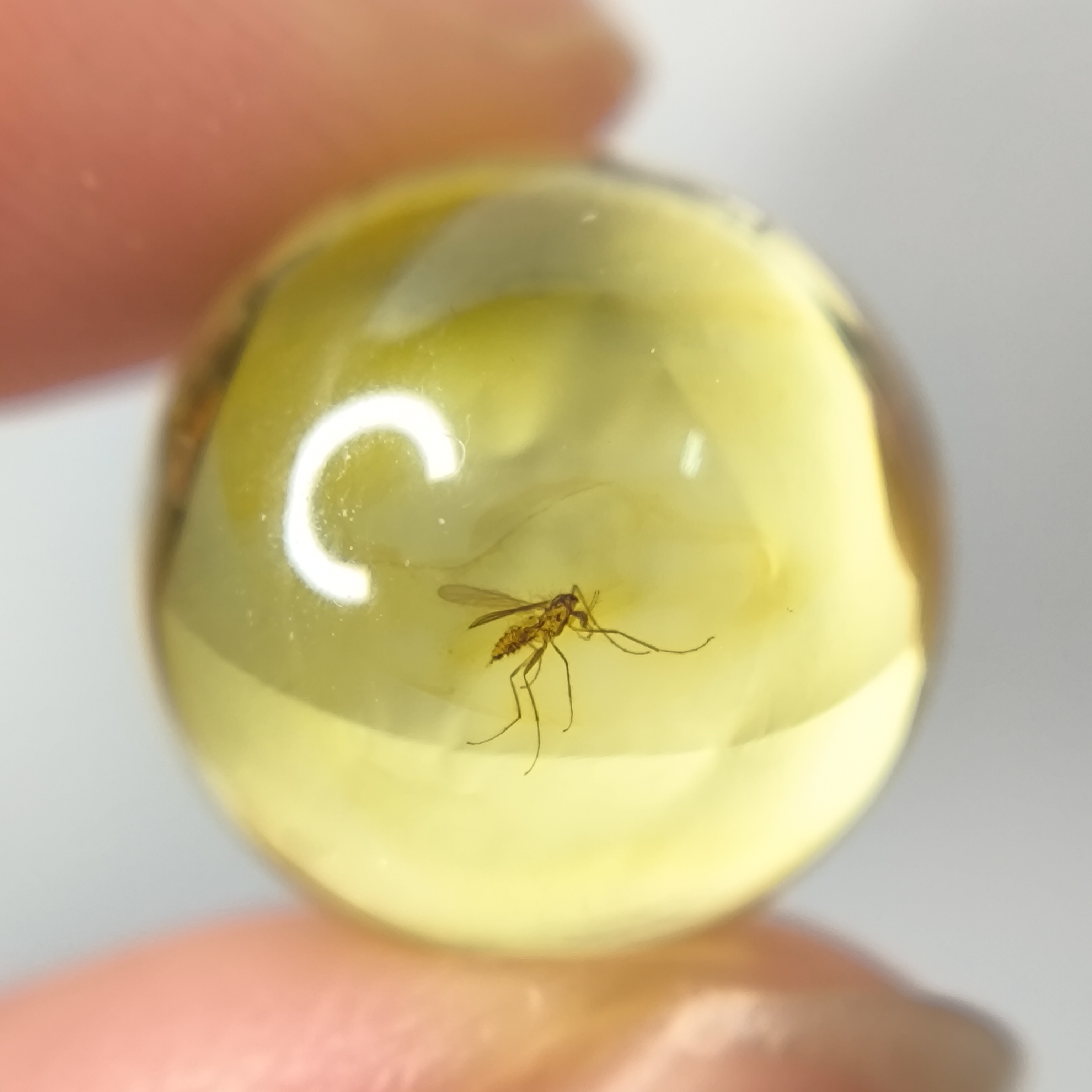 天然原矿波罗的海琥珀蜜蜡虫珀圆珠星月金刚菩提手串隔珠顶珠配饰