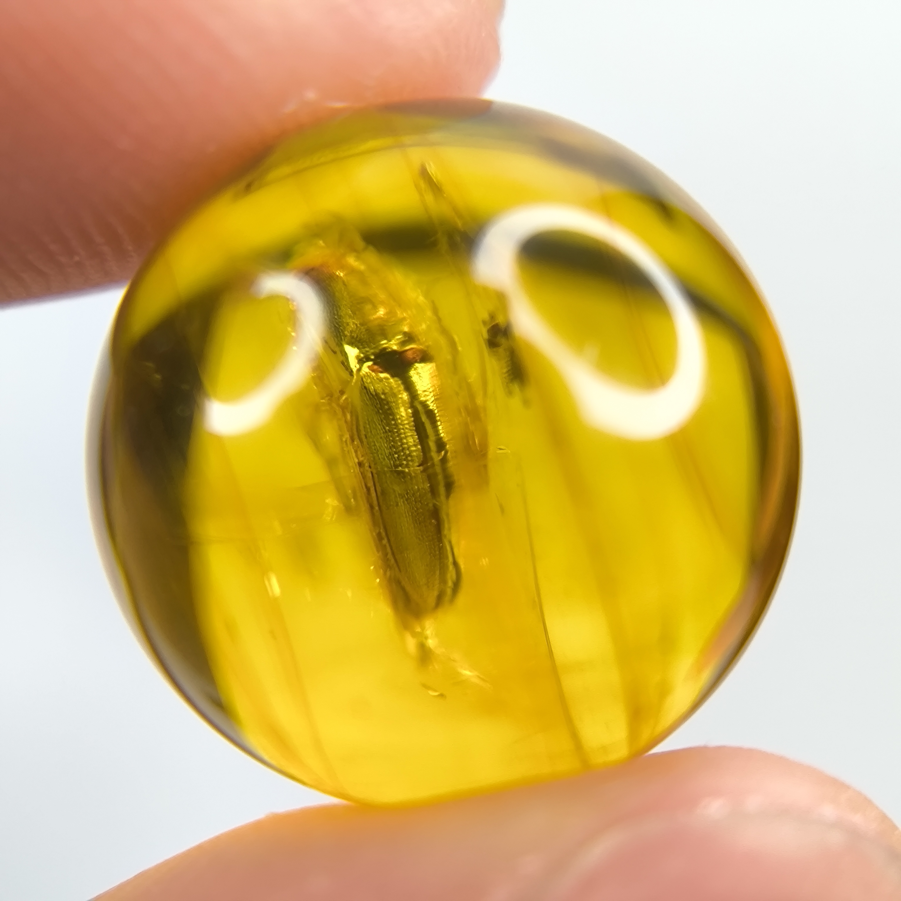 甲虫天然原矿波罗的海琥珀虫珀圆珠星月金刚菩提手串隔珠顶珠配件