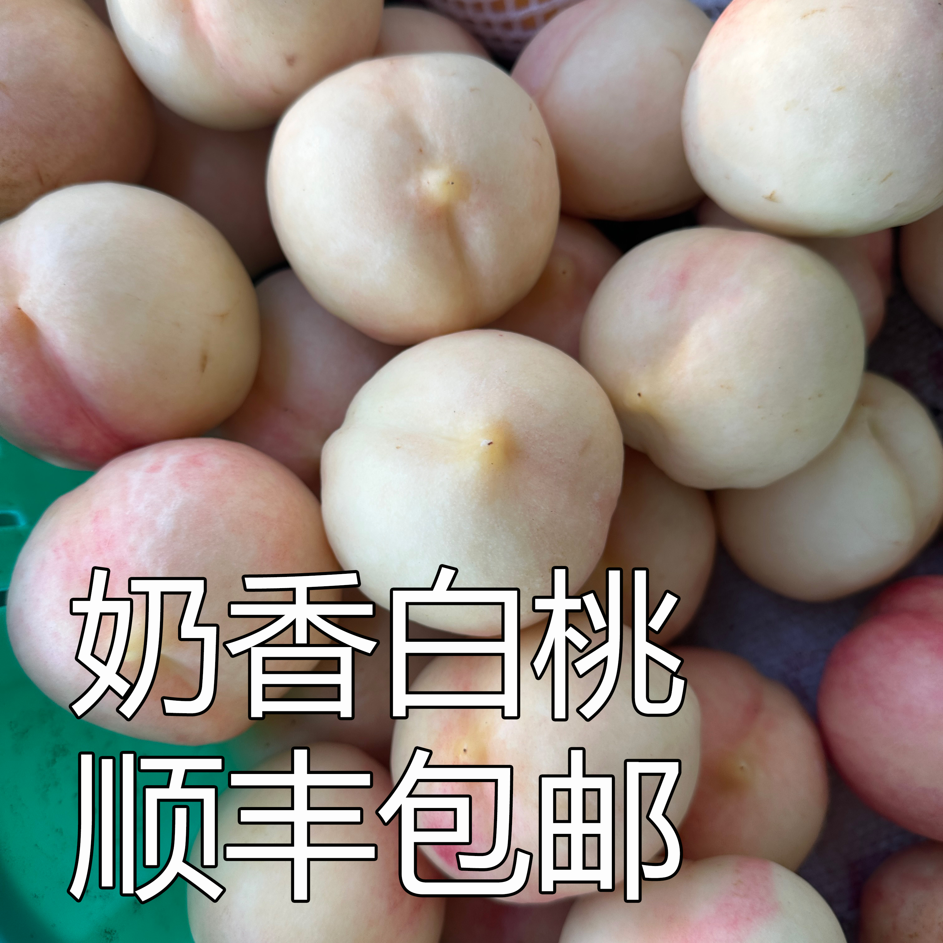 平谷大桃奶白油桃，现摘现发