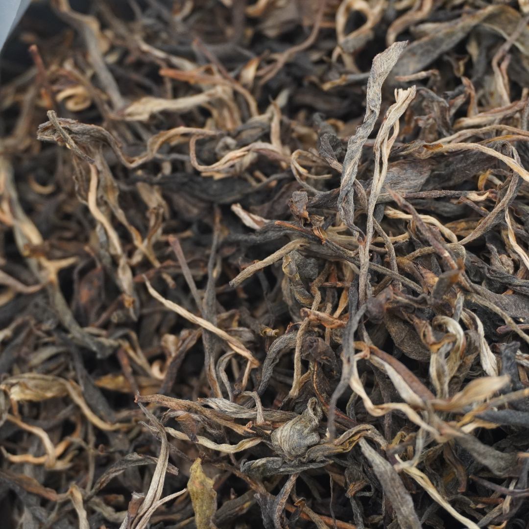 2025年 冰岛 大树头春纯料 普洱生茶散料 