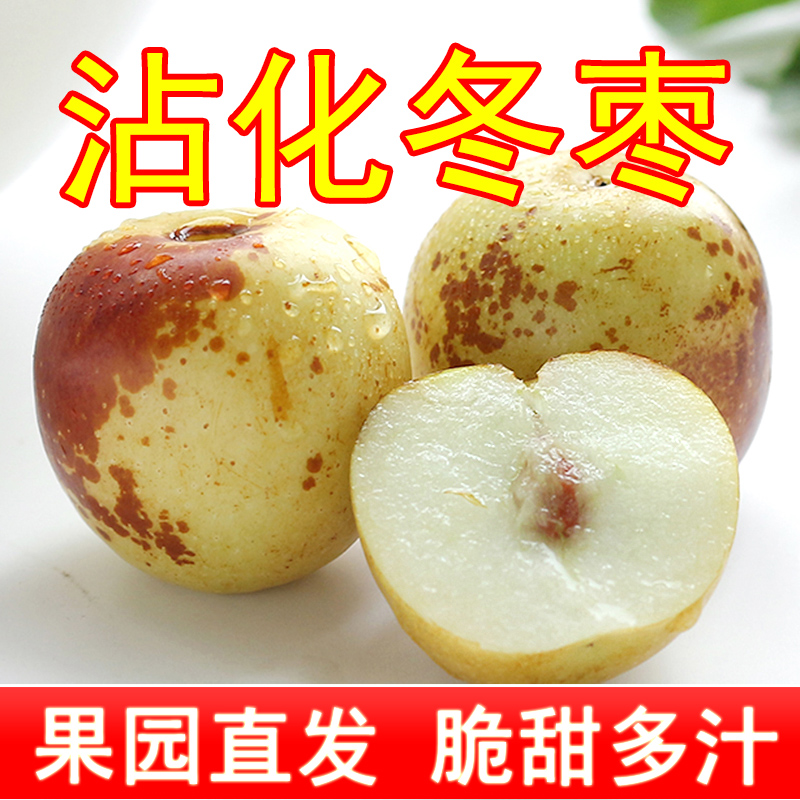 【山东沾化冬枣】现摘5斤3斤当季冰糖脆甜冬枣产地直发新鲜时令水果