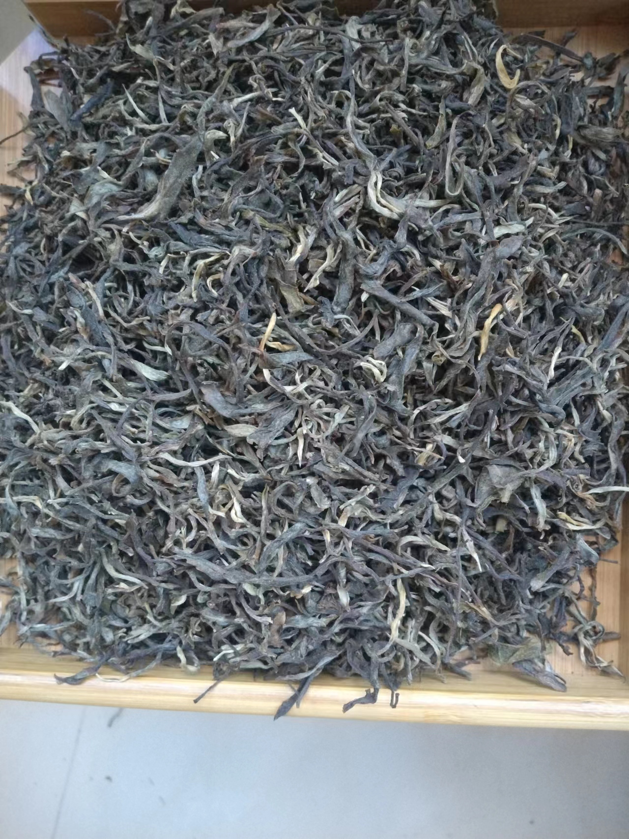 自家高货 清凉感茶气霸道 刮风山2021年头春古树挑采普洱茶生茶