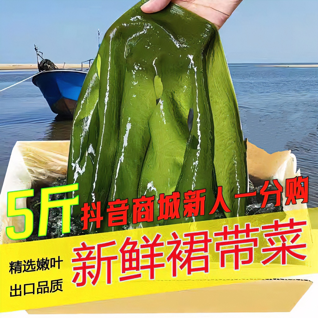 新人一分购精选裙带菜凉拌宝宝儿童批发正宗海带批发