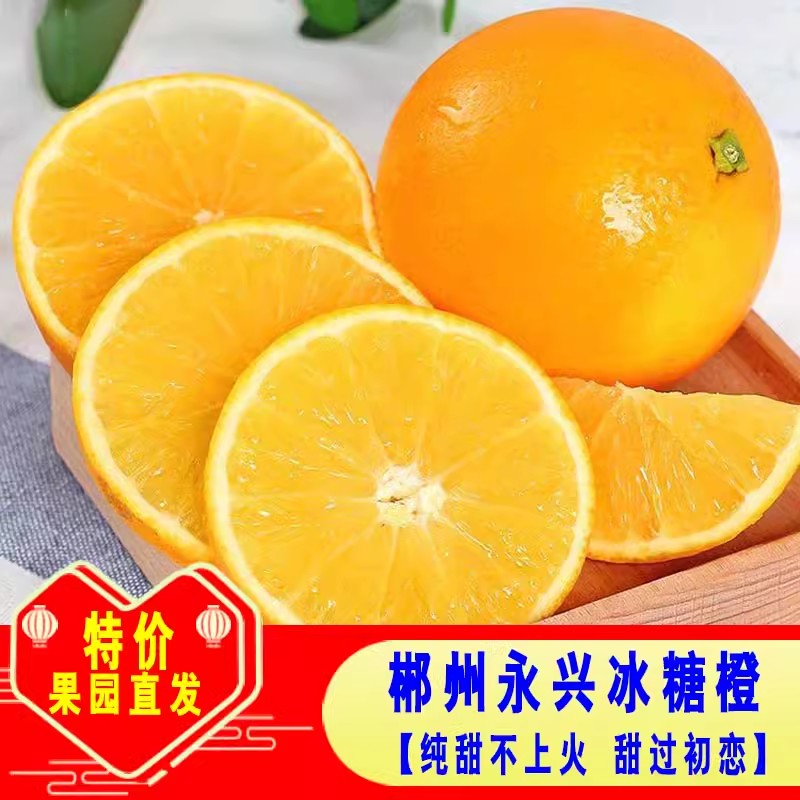 湖南正宗五年老树永兴冰糖橙子纯甜现摘当季新鲜水果橙子果园现发