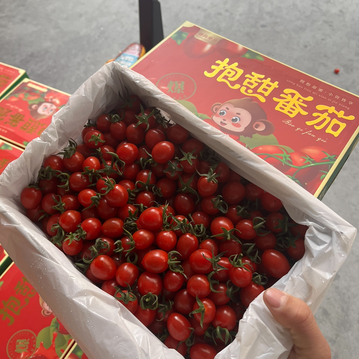 抱甜.玲珑千禧.礼盒一箱三斤左右