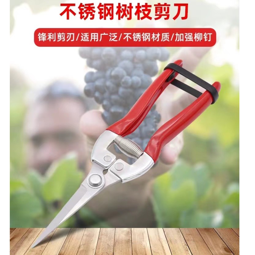 【修剪神器】省力不锈钢嫁接果树剪 园林花园修枝剪 不锈钢修枝剪刀