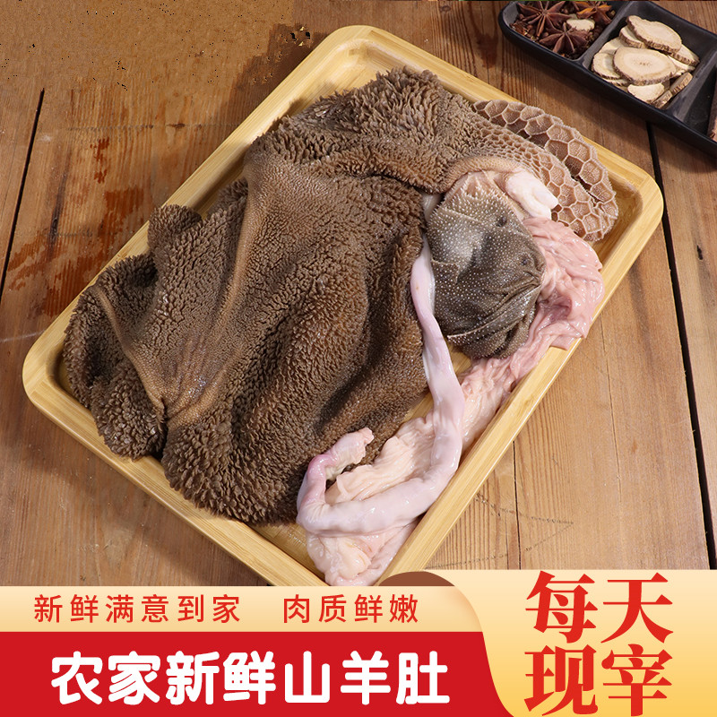 新鲜羊毛肚山羊肚生羊毛肚羊下货整套冷冻整个羊肚羊生鲜清真羊肚