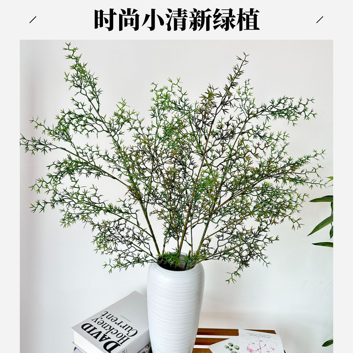 南天长枝叶 家庭摆件长枝落地绿植高级ins风格轻奢绿植花艺