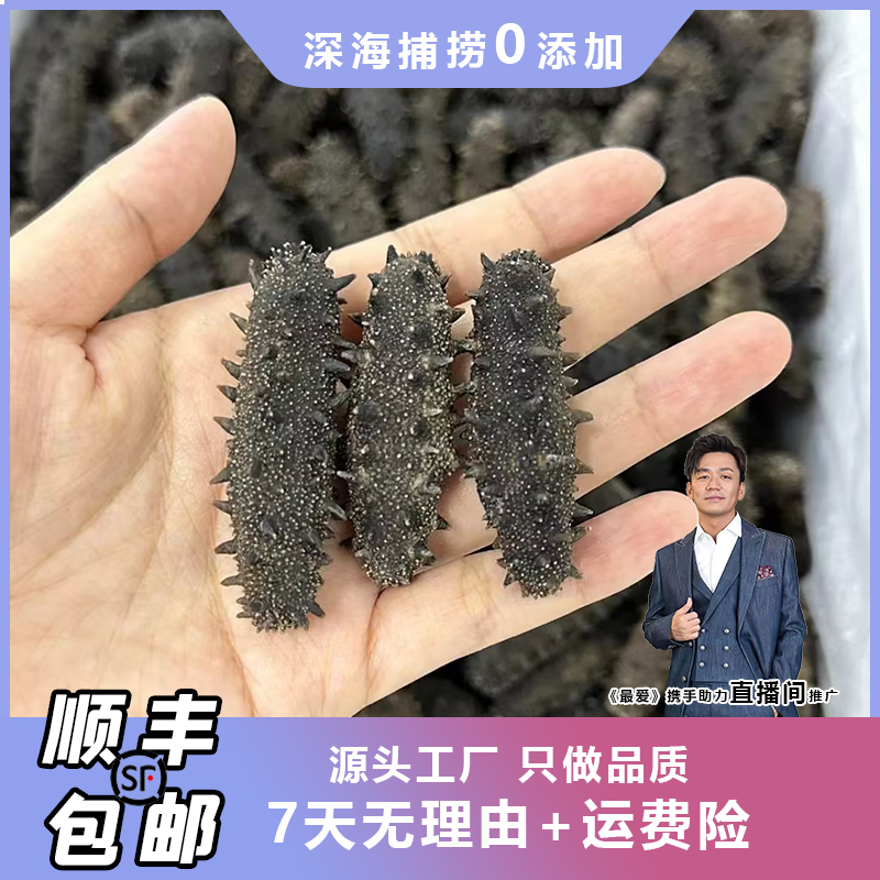 【国标三淡干海参】大连刺身淡干海参工厂30-100头底播肉厚顺丰包邮