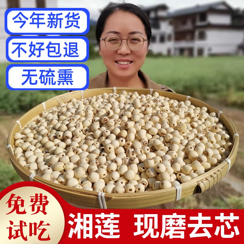 新货正宗湘潭莲子干货500g湖南特产去芯磨皮级白莲子250g无硫粉糯