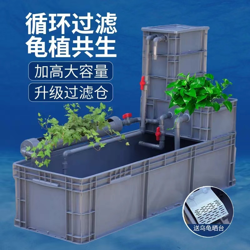 乌龟周转箱过滤养龟专用缸龟缸过滤器乌龟爬台晒台周转箱养龟
