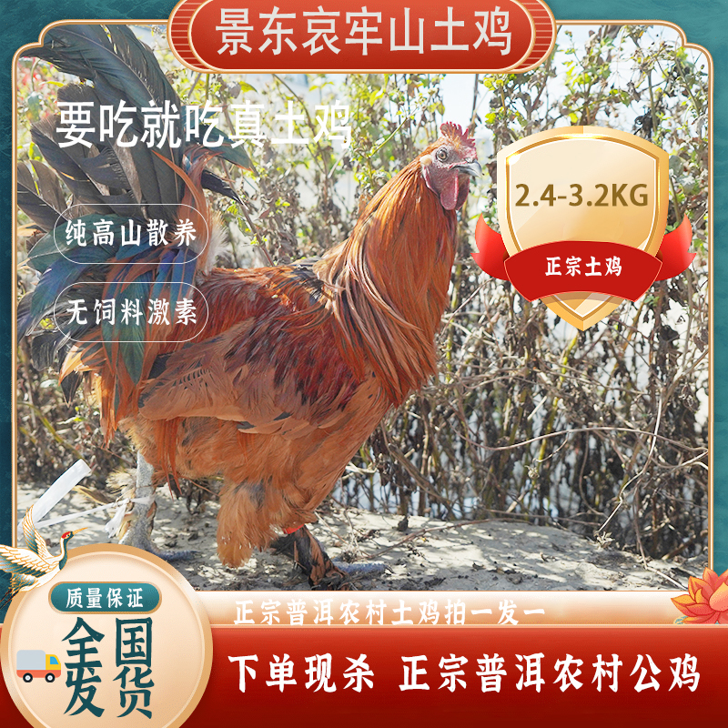 普洱农村纯土鸡（公鸡毛重2.4kg~3.2kg，活鸡现宰，真空发顺风航空）
