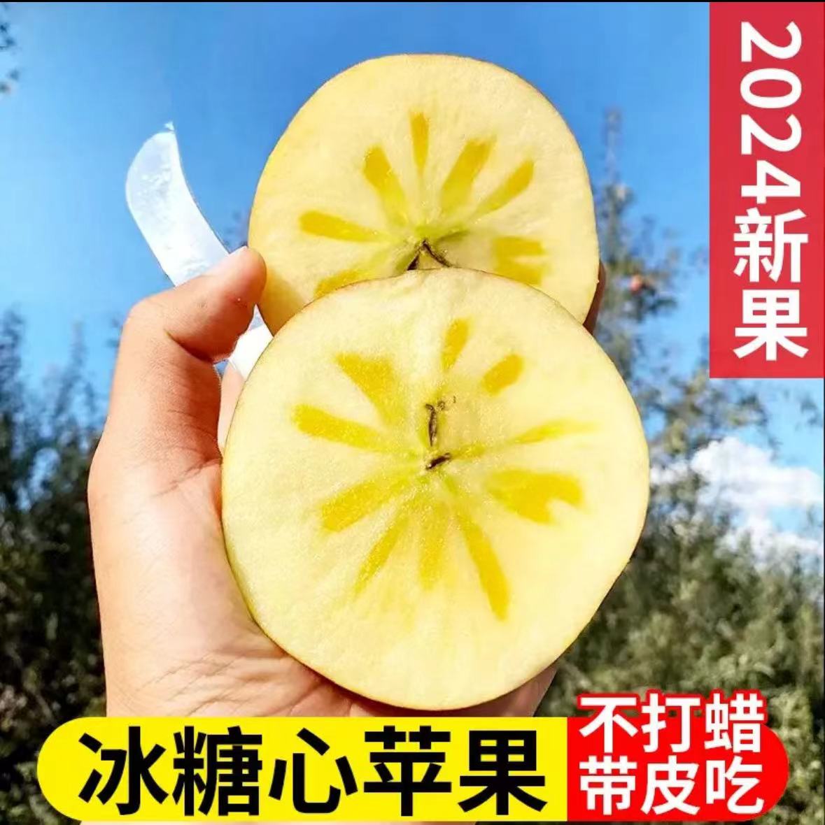 彩箱包装！云南昭通苹果2024头茬鲜果果园现采发货