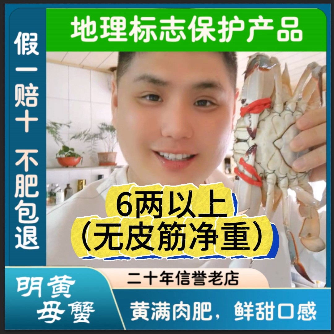 莱州梭子蟹，单只6两母，顶盖肥带黄鲜活发货，【保鲜不保活】斤数可选