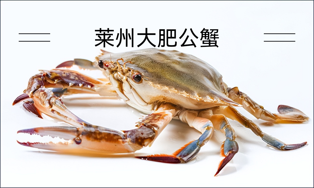 鲜活海捕莱州大公蟹（2.5两）满肉包肥活蟹装箱保鲜不包活