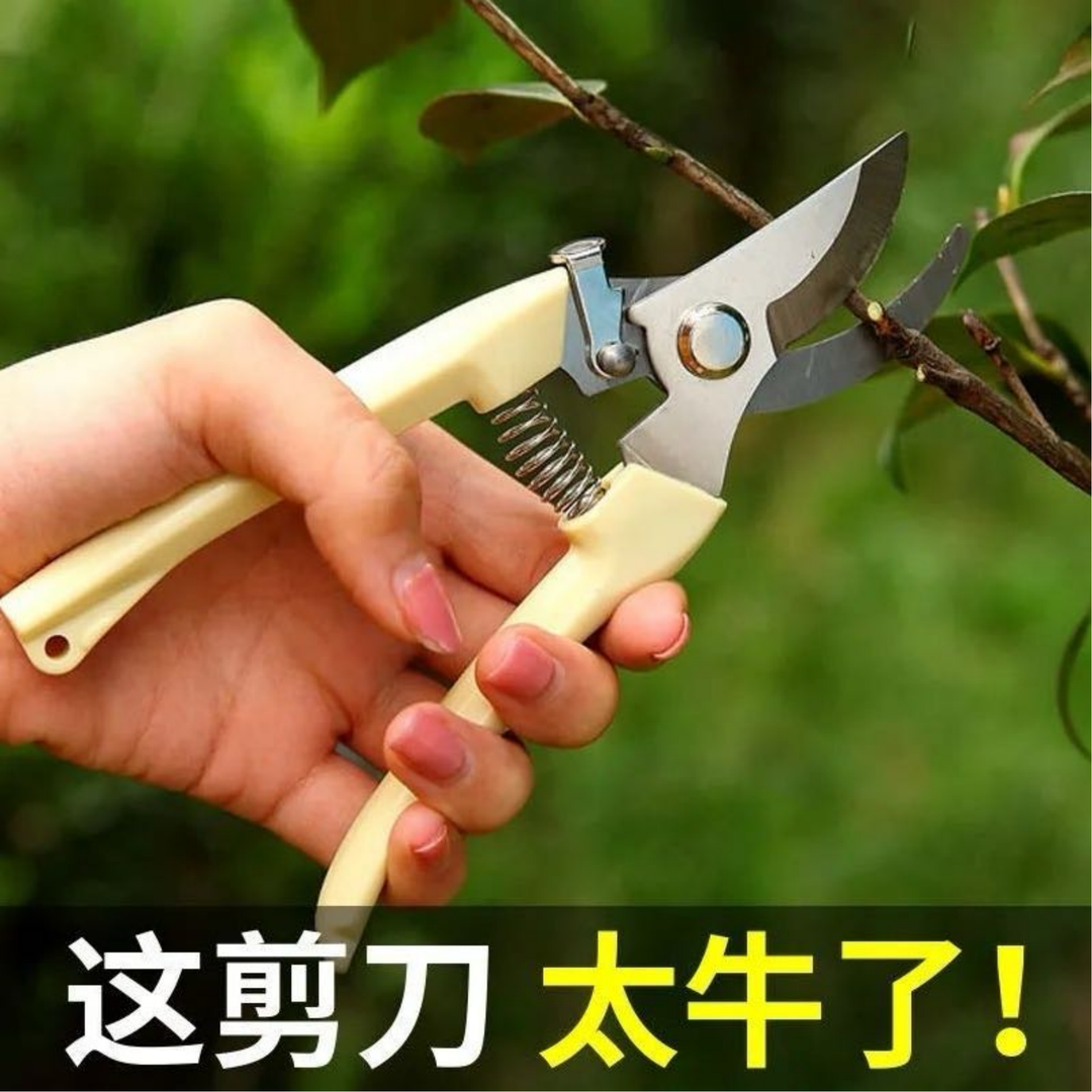 园艺果树修枝剪花艺修剪树枝剪刀园艺修剪工具园林剪刀
