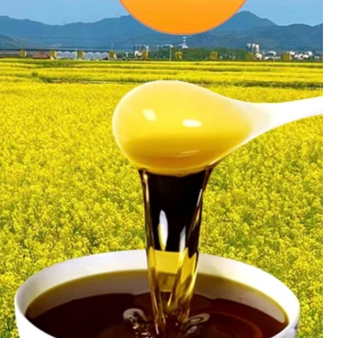 西北甘肃老家菜籽油  黄土高原现压榨 