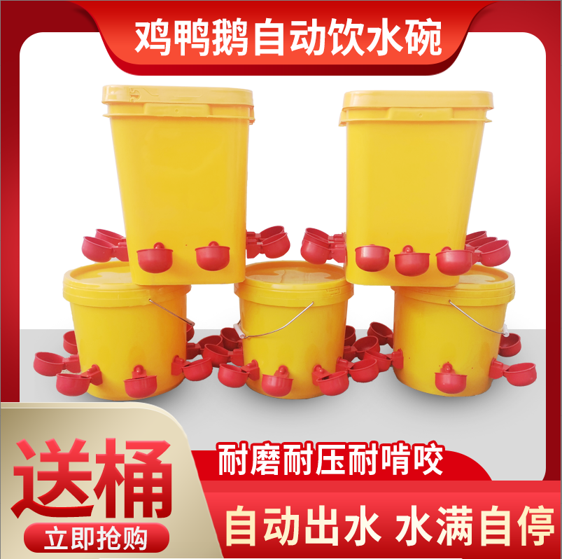 鸡鸭鹅通用自动出水桶雏鸡鸽子鹌鹑省力使用