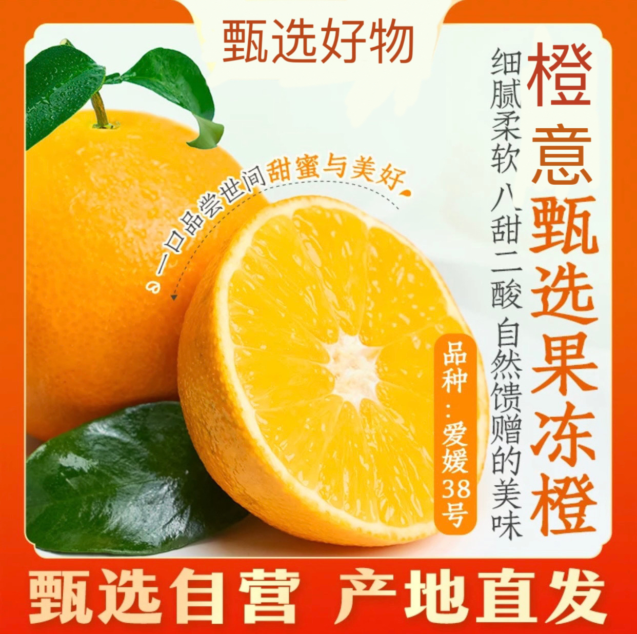 与辉同行 | 东方甄选爱媛38号果冻橙  酸甜适口 坏果包赔无核细腻