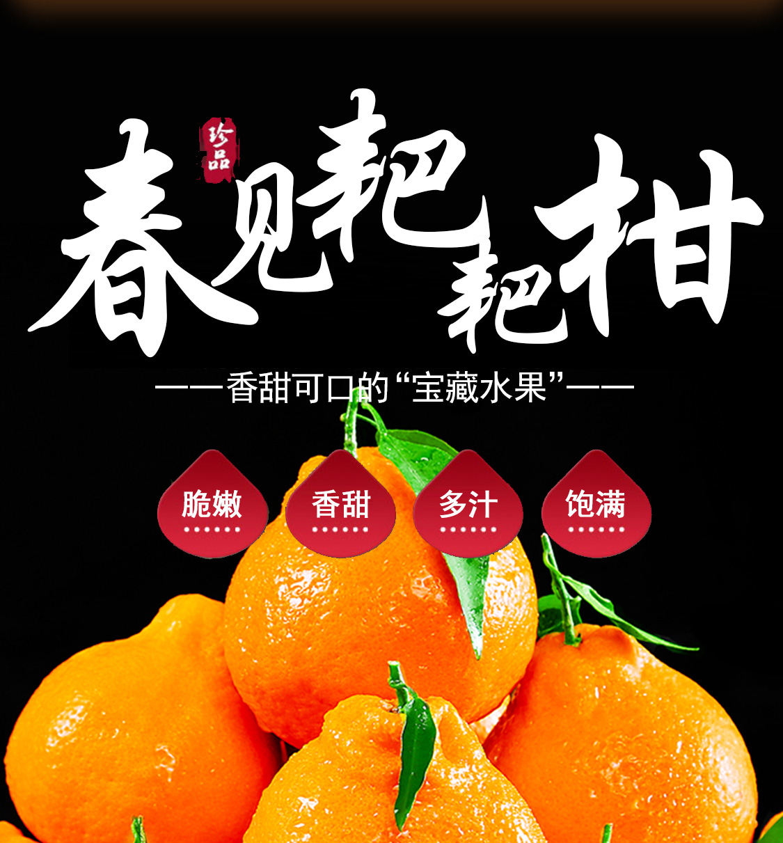 与辉同行【东方甄选】正宗四川春见耙耙柑新鲜水果当季丑桔现摘现发