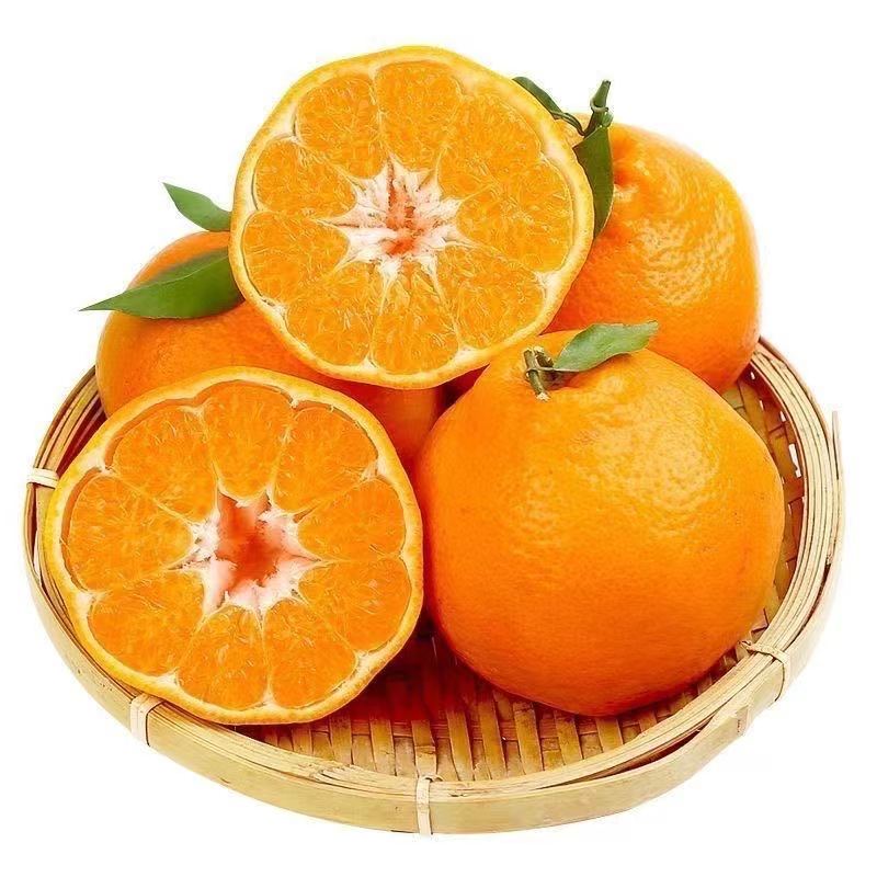 与辉同行东方甄选【春见耙耙柑】四川蒲江原产地直发香甜爆甜多汁 