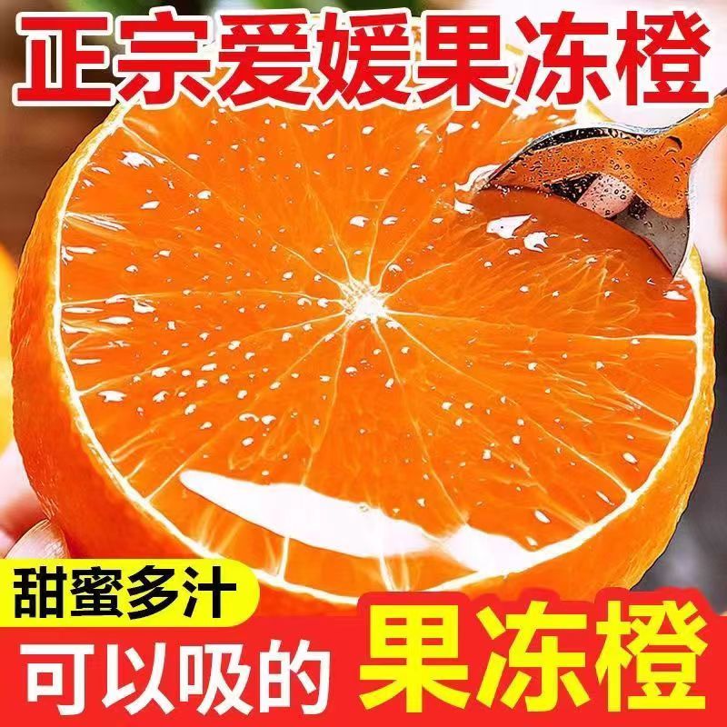 与辉同行【东方甄选】四川爱媛38号果冻橙现摘现发新鲜水果皮薄酸甜