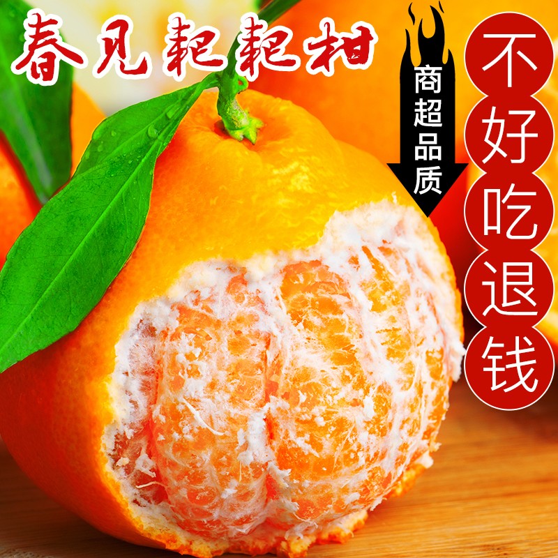 【与辉同行东方甄选】正宗四川春见耙耙柑爆汁爆甜 网红柑橘耙耙柑