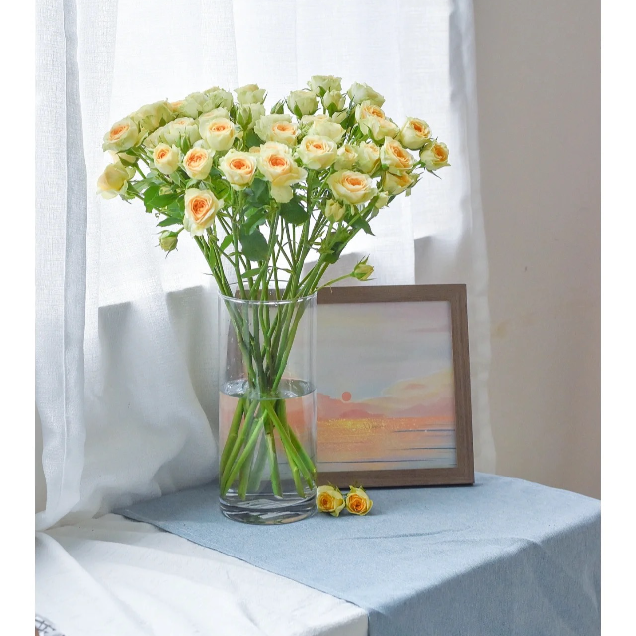 【花和优品】牛油果——多头玫瑰