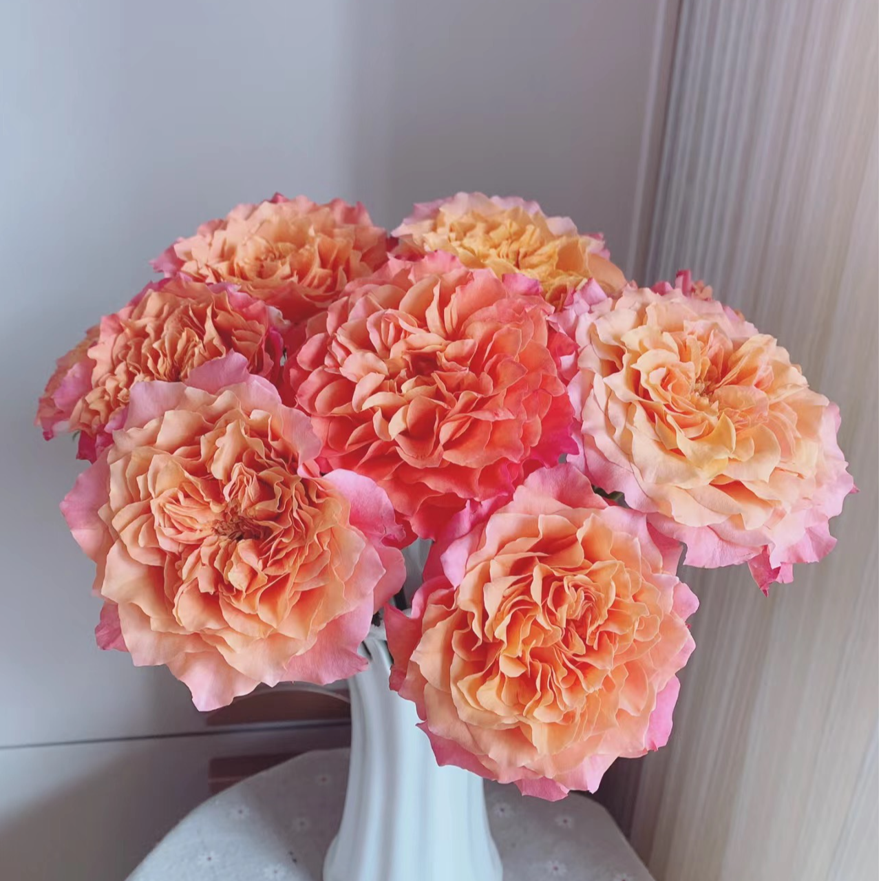 【花和优品】A级火灵鸟——单头玫瑰