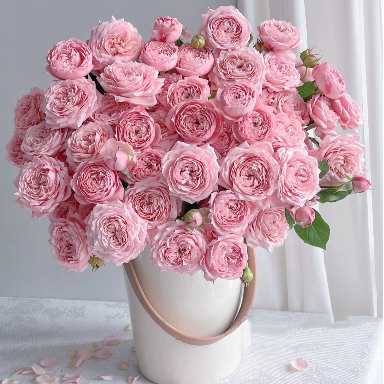 【花和优品】朱丽叶塔——稀有多头玫瑰