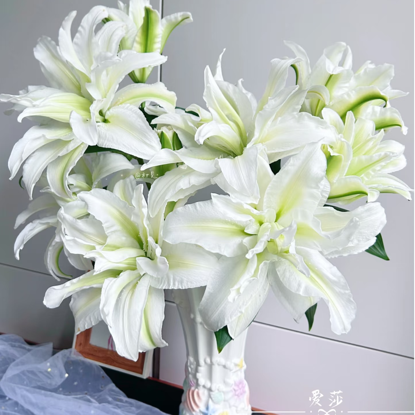 【花和优品】多头艾莎（3枝）——重瓣百合