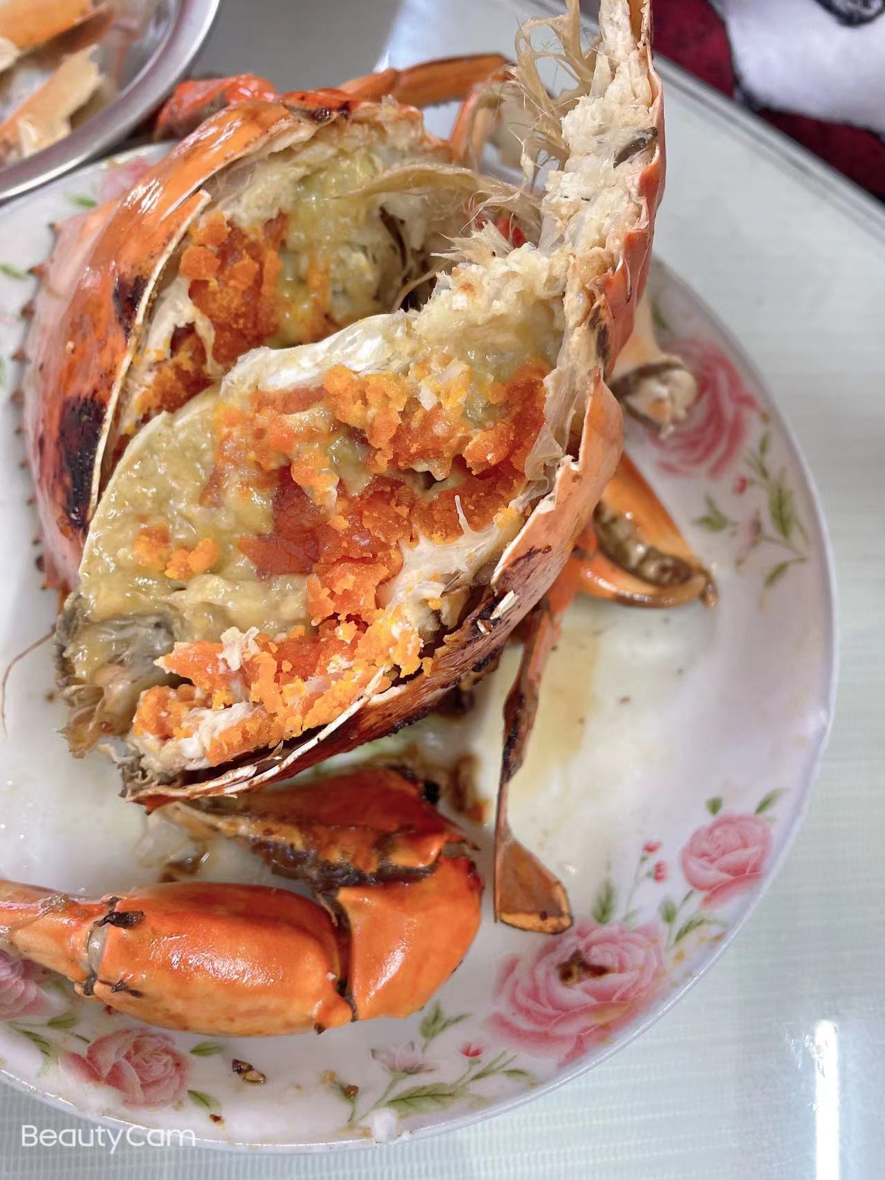 闽南晋江红膏鲟 带绳0.9到0.95