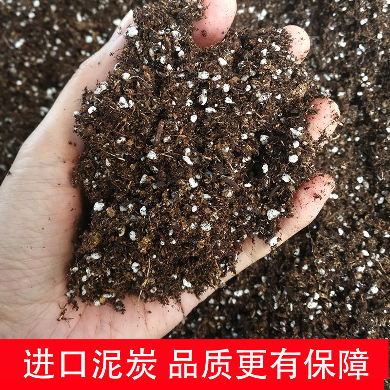 育苗种菜专用营养土