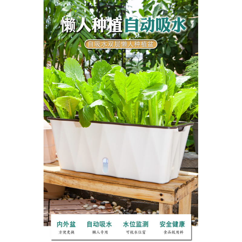 免浇水花盆长方形懒人种植盆