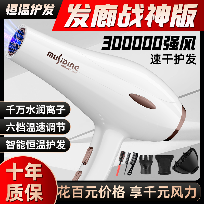 电吹风机家用速干发型师发廊理发店3000W大风力负离子护发不伤发