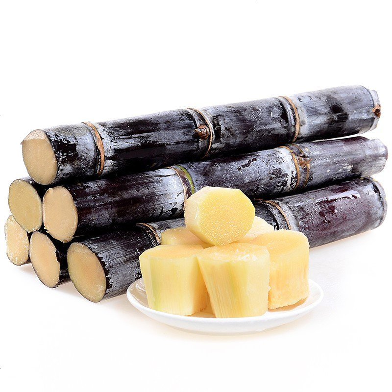 甘蔗 ( شىكەر قۇمۇشى) 