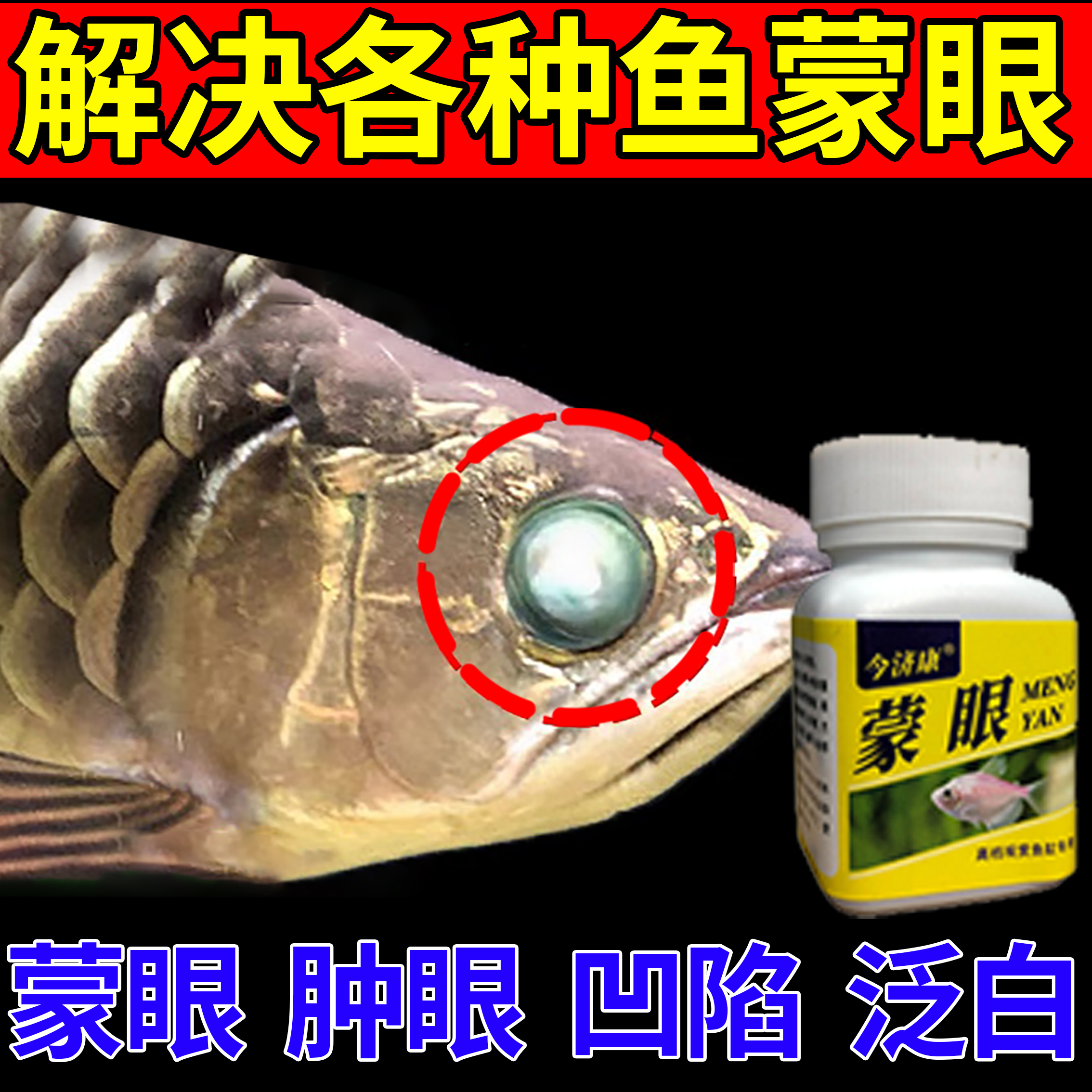鱼蒙眼专用鱼白眼病肿胀充血凸眼睛发黄龙鱼金鱼锦鲤观赏鱼水霉病