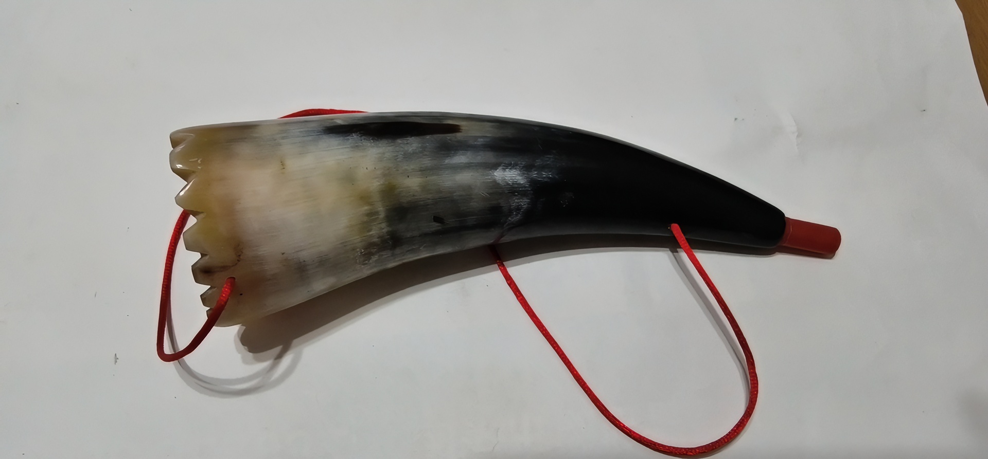 高原牦牛 牛角号