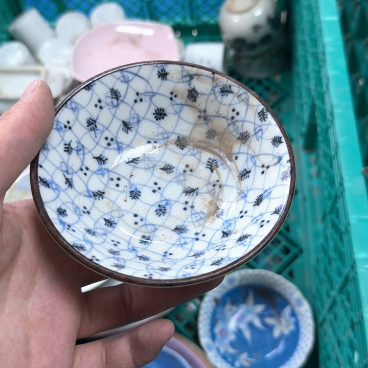 壶开播了开播了开播了