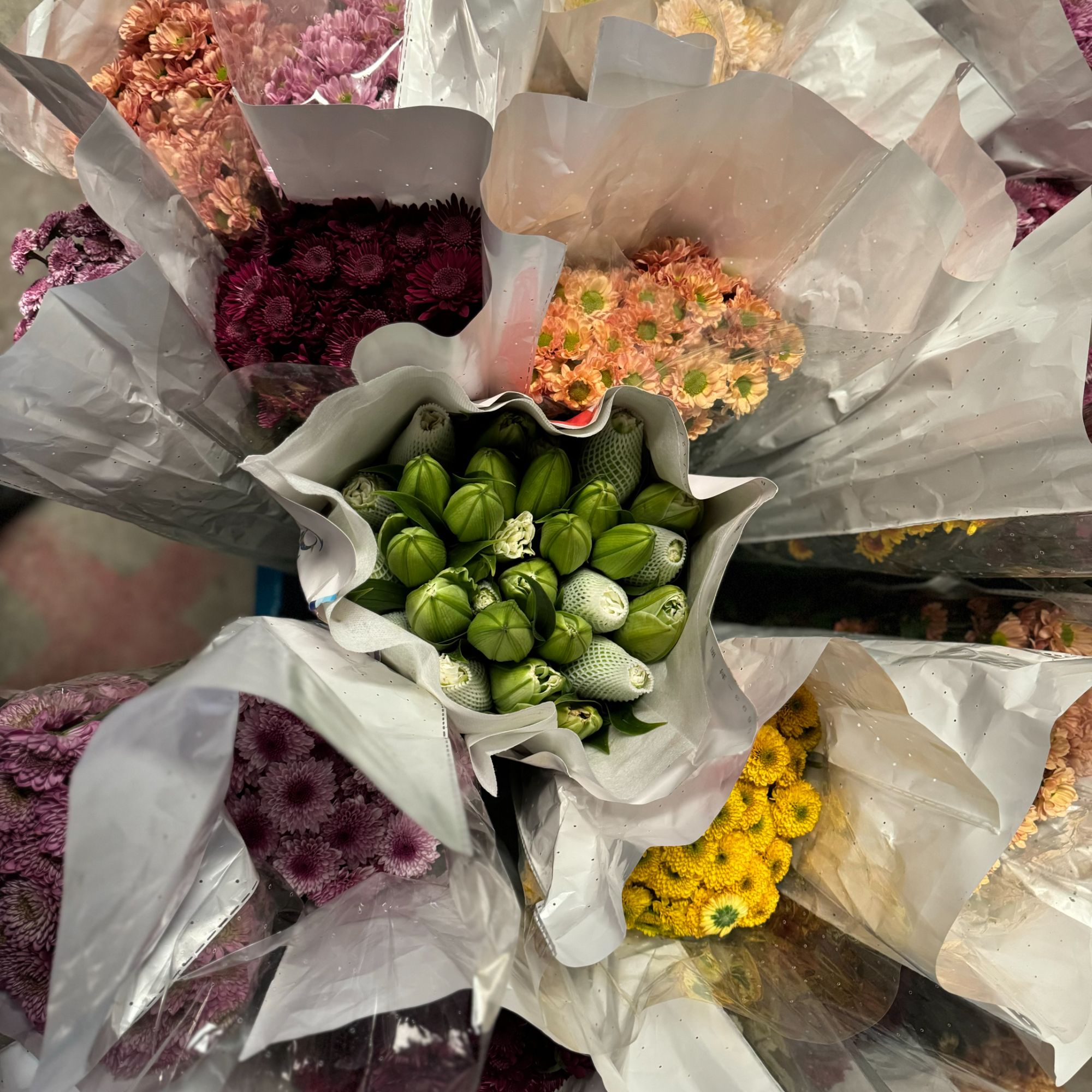 西藏包邮鲜花【黄色百合+小雏菊】鲜切花