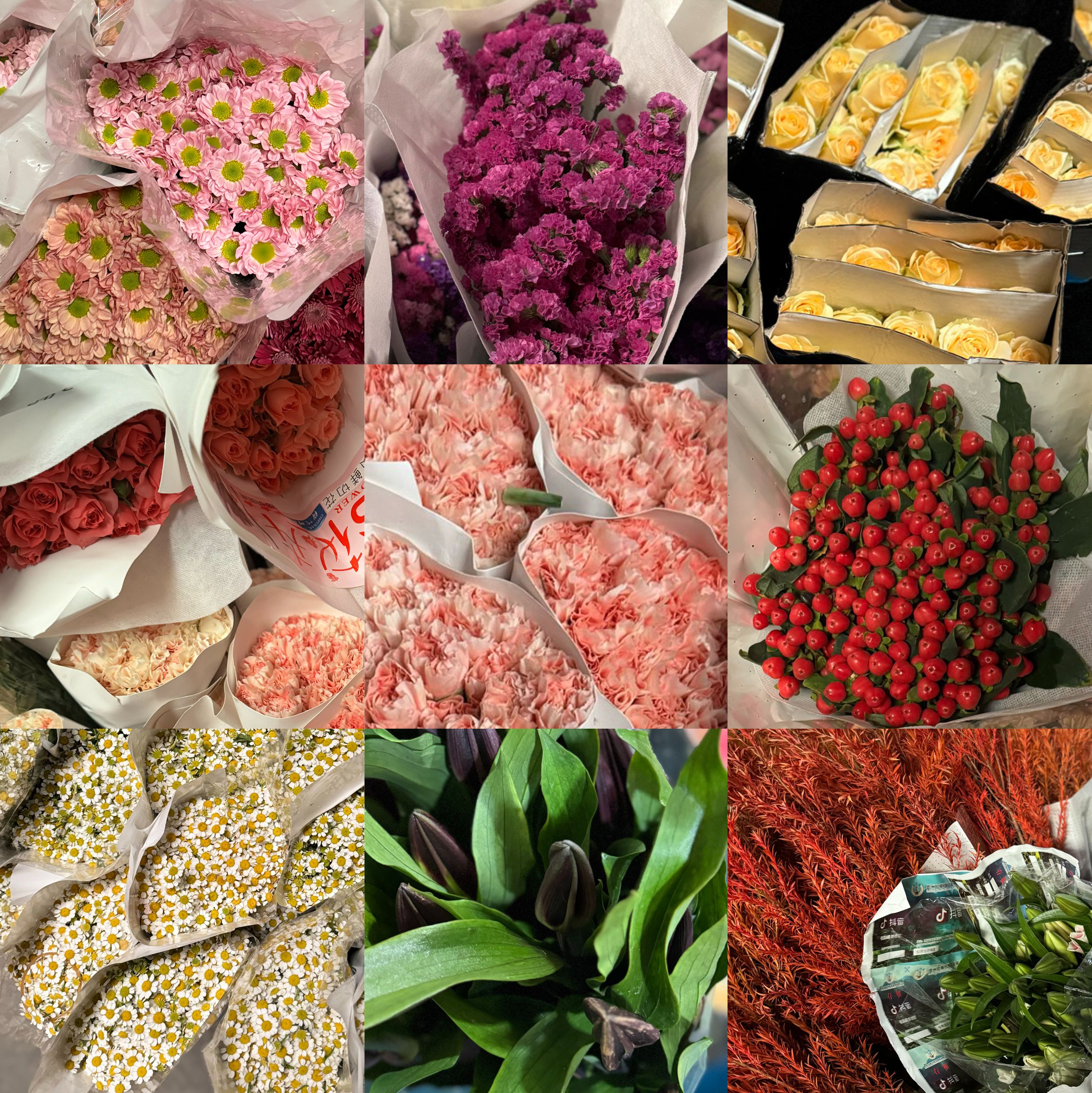 西藏包邮鲜花【总链接】西藏绿源鲜花花卉装饰花桌面摆件装饰