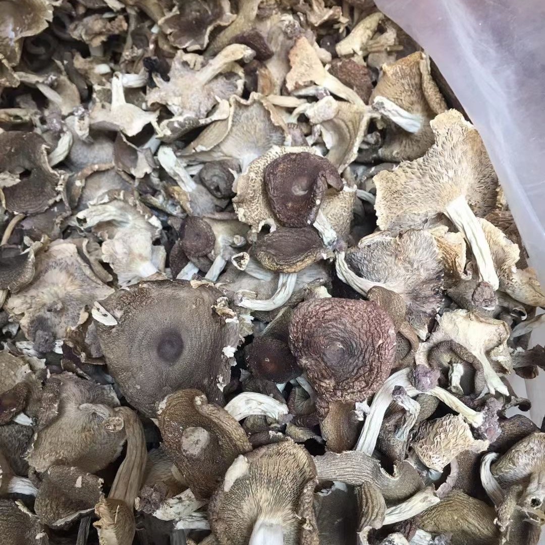 [稻悠悠] 福建武平 带泥本地梨菇250g/500g