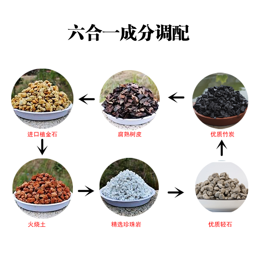 雨轩寒兰店专用精选植料