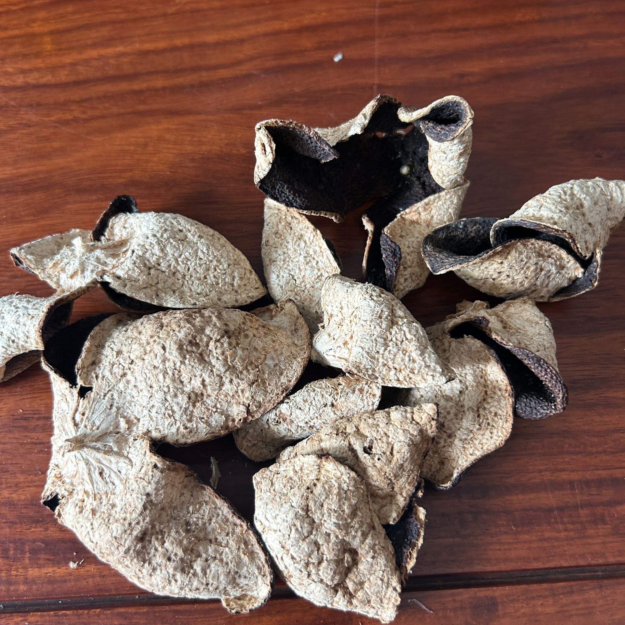 新会核心产区南坦岛老树2019大红（圈枝）陈皮