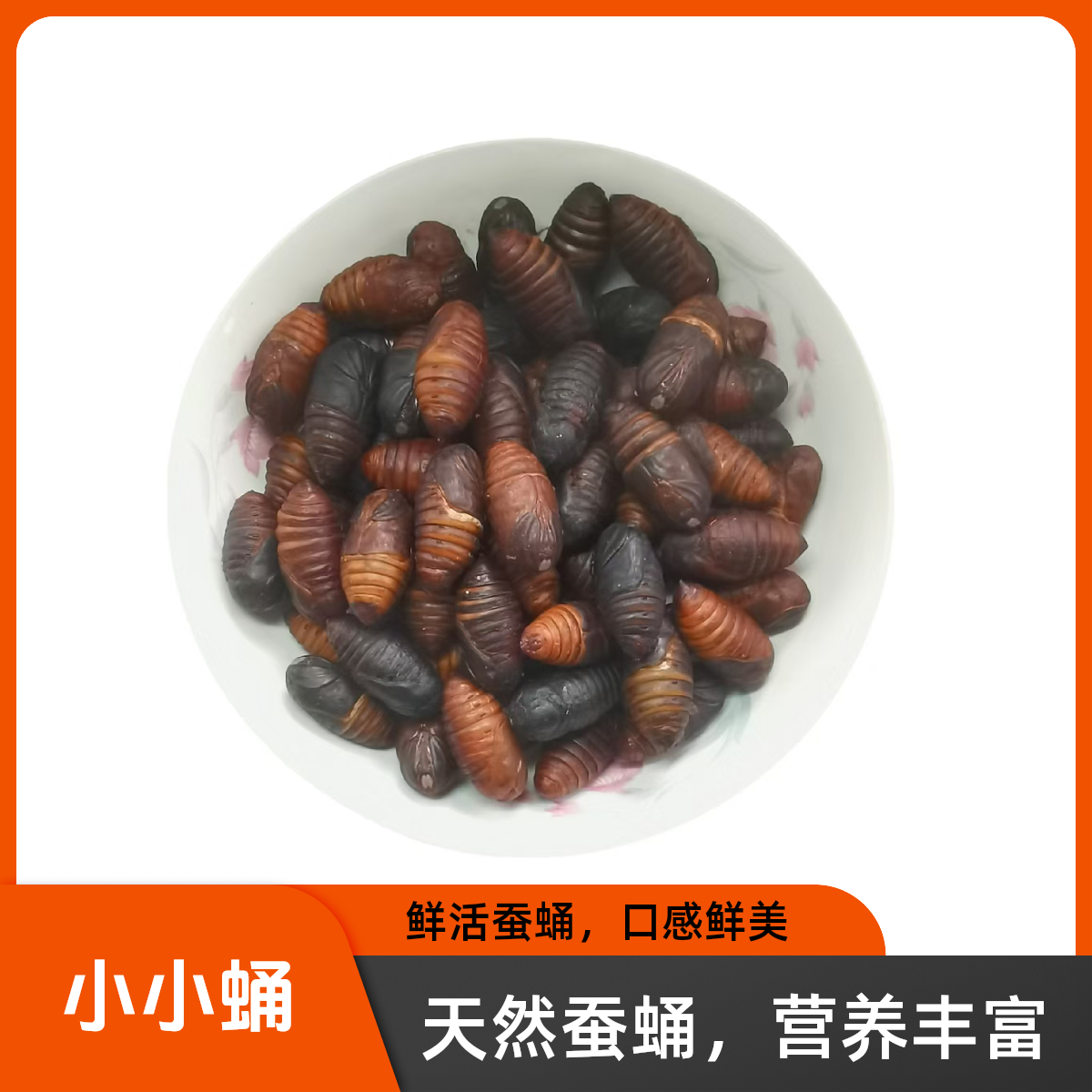 【特惠福利】小小蚕蛹鲜活每斤约85个左右介意勿拍京东快递包邮