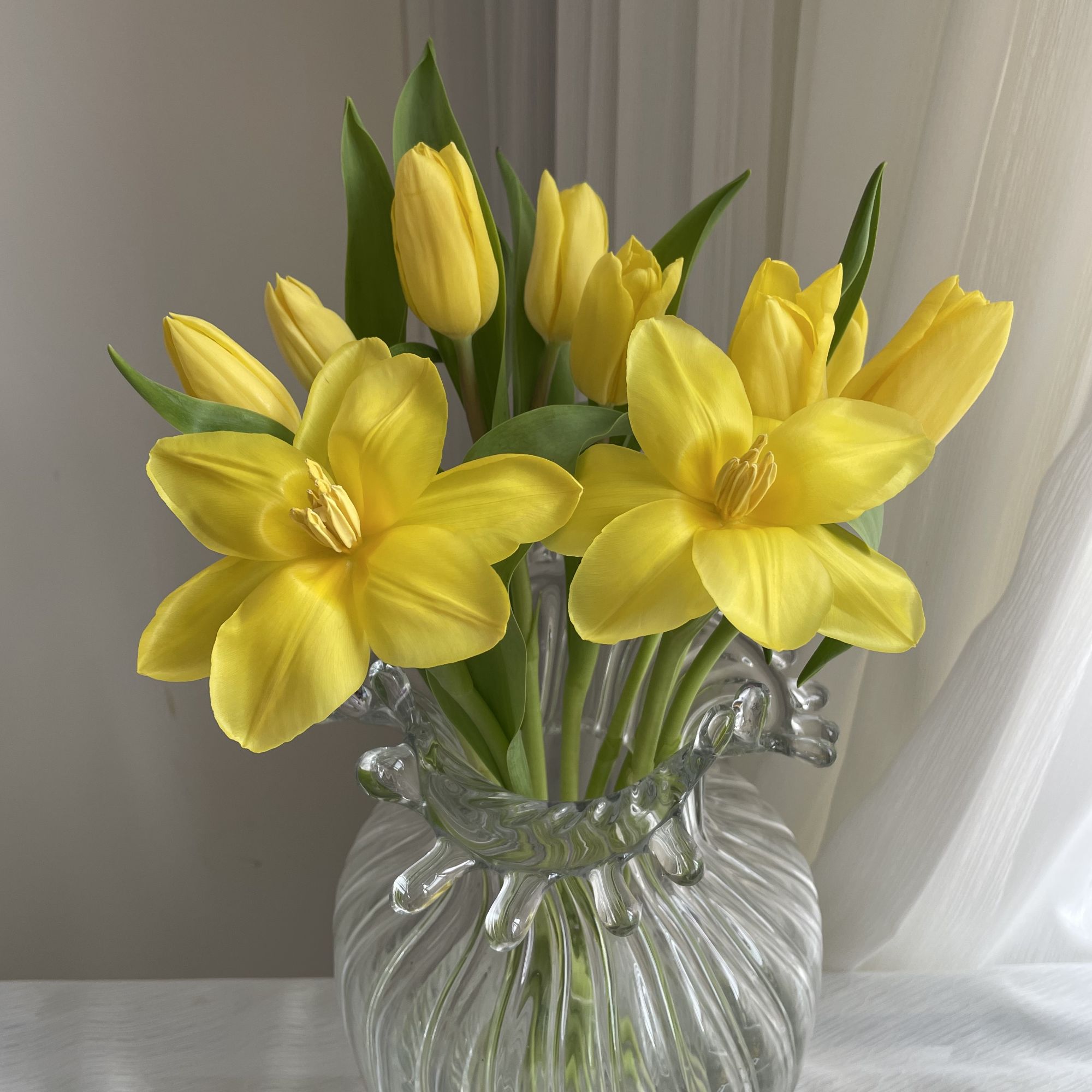 方德郁金香麦田38-40 10支有色差任意两扎顺丰冷链三扎发顺丰空运